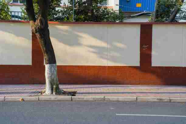 蘑菇视频电脑版年度播放报告发布|弹幕互动数据报告观看习惯洞察