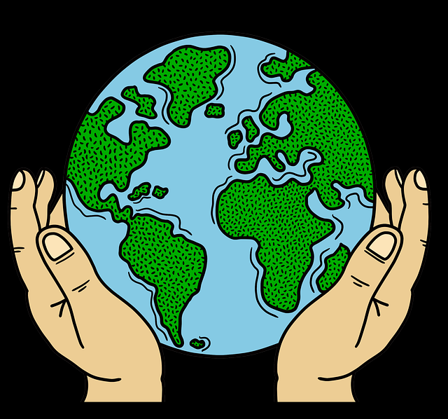 蘑菇视频电脑版年度播放报告发布|弹幕互动数据报告观看习惯洞察