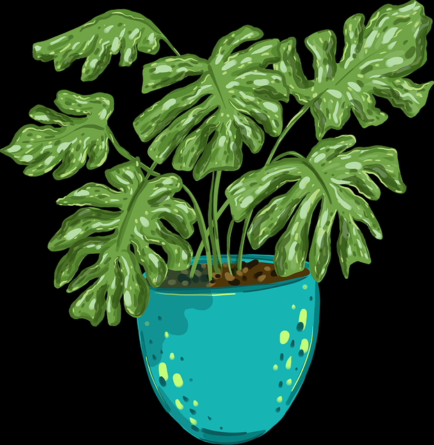 探花精选拍摄视角突破|入门观看指引实拍感增强