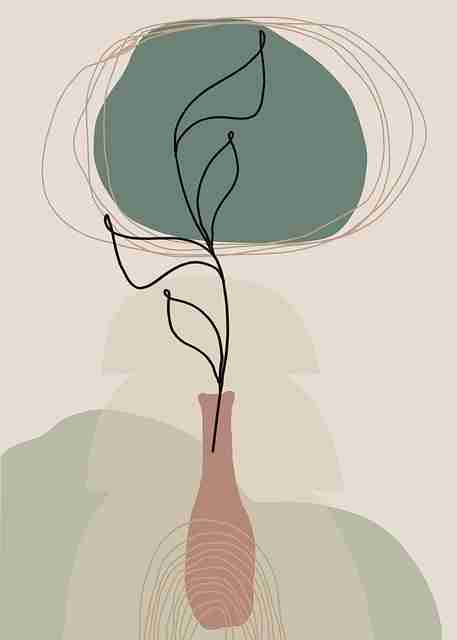 onlyfnas官网官方更新报告|平台订阅逻辑剖析新功能上线实测