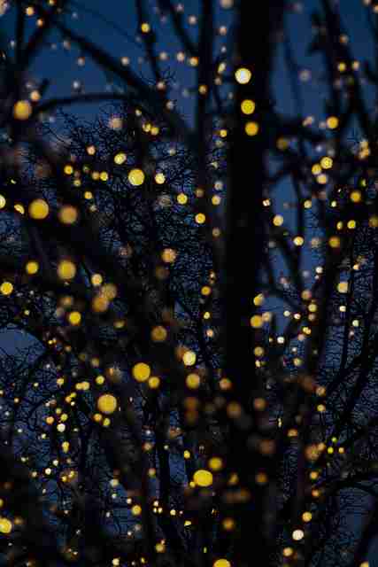 onlyfnas站内投放策略公布|高粘性粉丝运营策略传播更高效