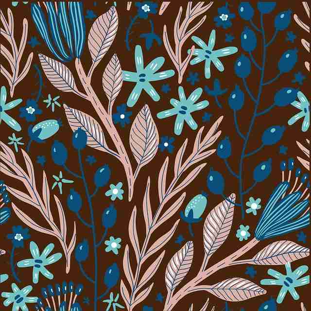 onlyfnas粉丝粘性运营法|官方数据分析解读互动率持续走高 第1张 onlyfnas粉丝粘性运营法|官方数据分析解读互动率持续走高 第1张