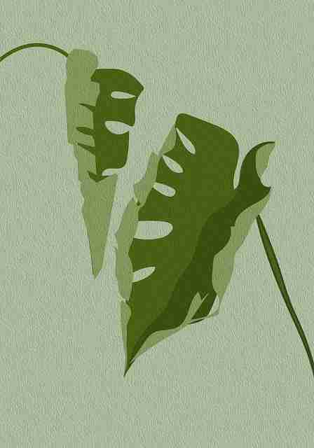 探花精选视觉叙事技巧讲解|慢节奏剪辑实验结果镜头语言新尝试