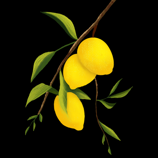 蘑菇视频下载站内分区构架细节披露|会员权益内容解构逻辑更清晰