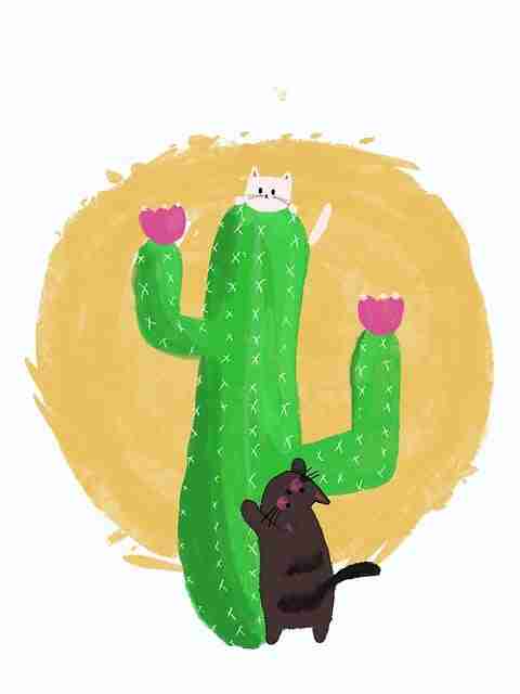 黑料网“群众编辑”机制造成了哪些信息混乱