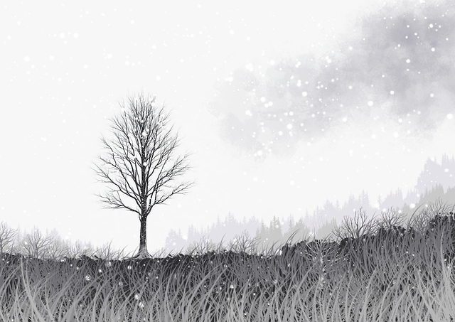 蘑菇视频视频上下架流程剖析|内容分级策略探讨发布策略体系化